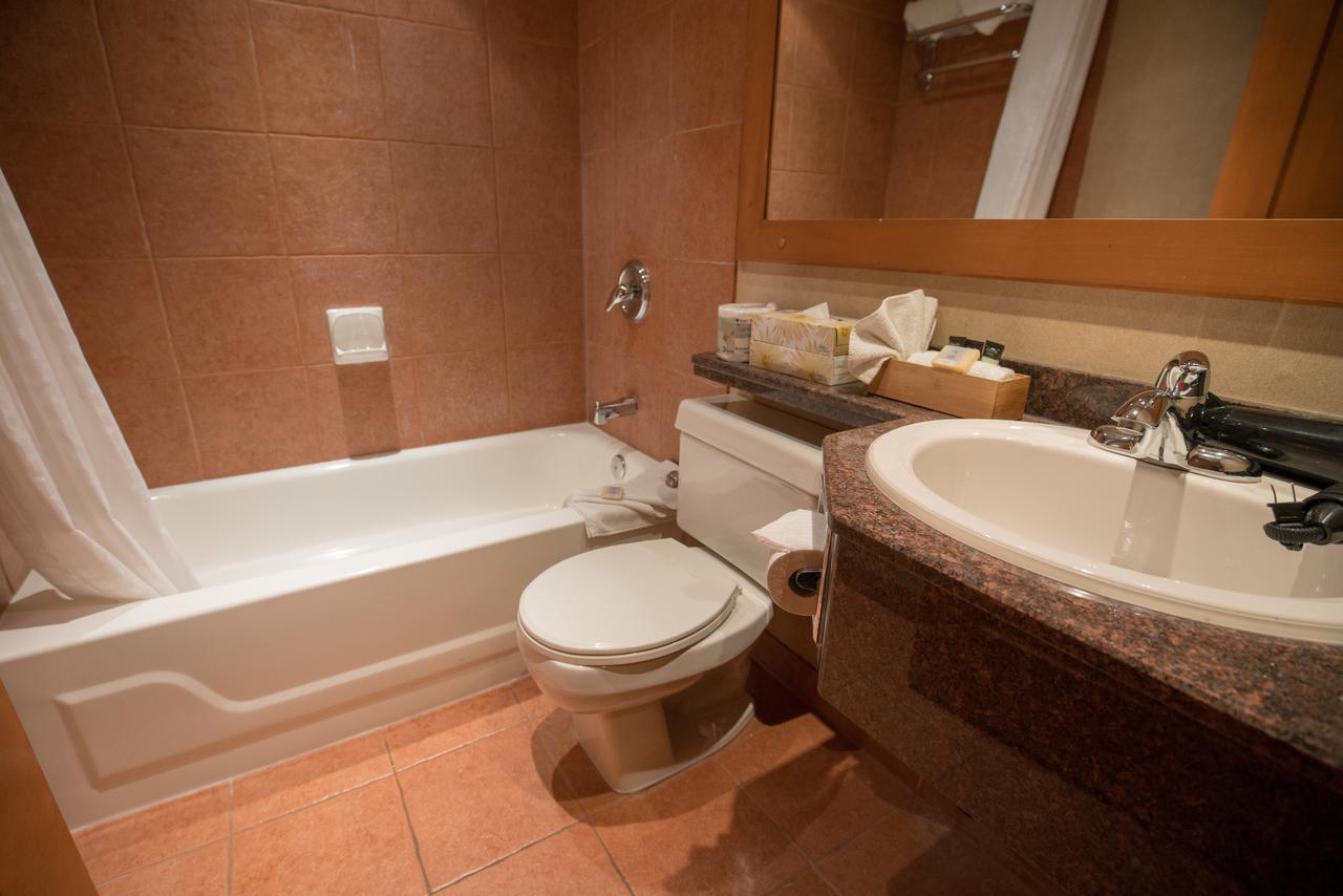 Deluxe Appartement met 1 Slaapkamer en 2 Queensize Bedden