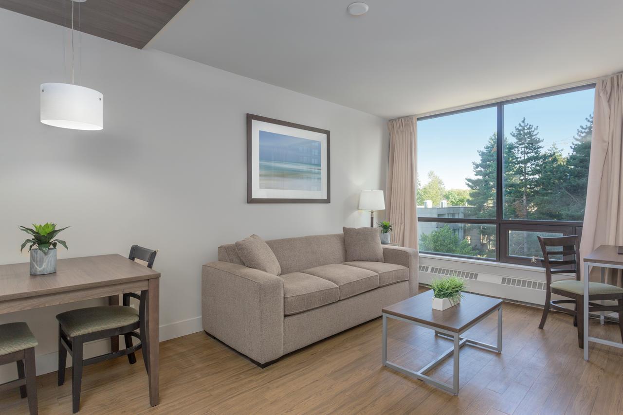 One-Bedroom King Suite with Sofa Bed,643886214:JPEG