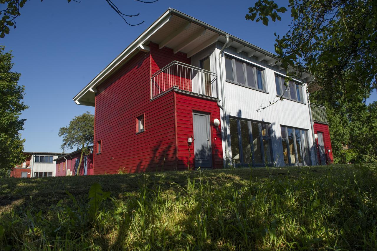 Apartment - Erdgeschoss