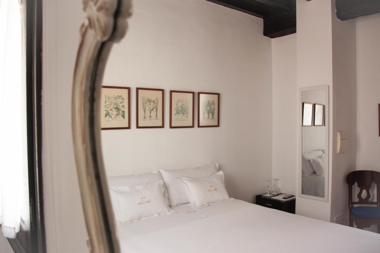 Suite Júnior