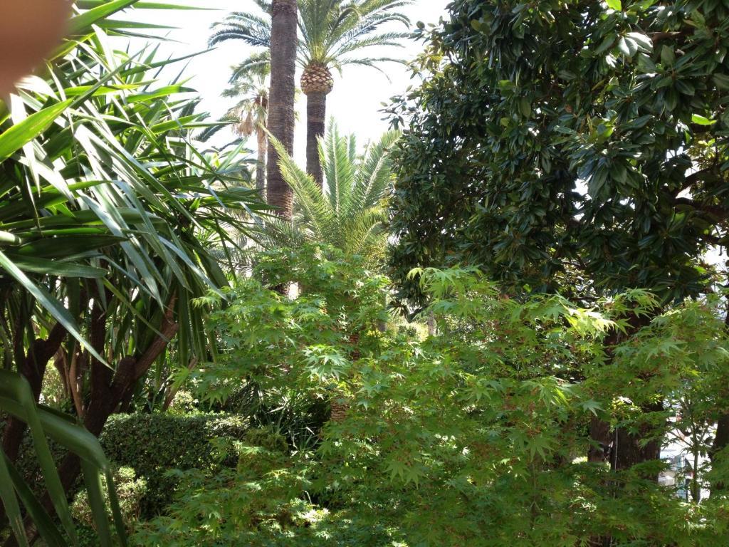 Camera Matrimoniale Superior con Vista Giardino e Accesso Spa (Sauna e Vasca Idromassaggio)