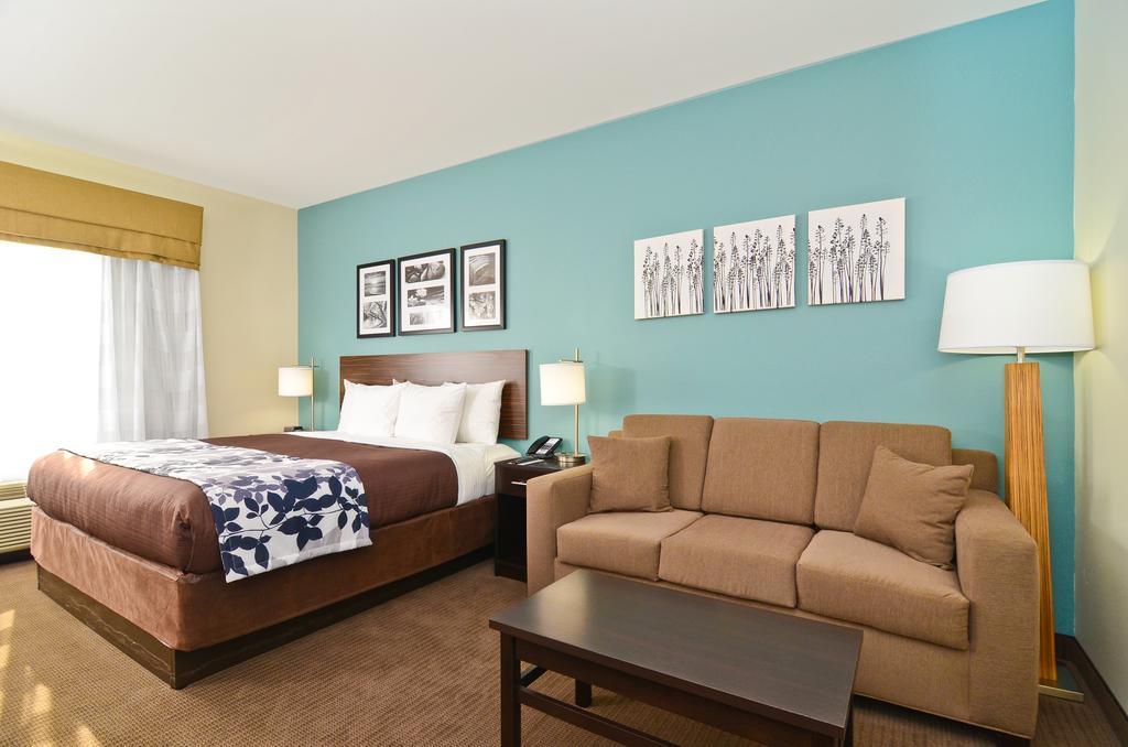 King Suite with Sofa Bed - Non-Smoking