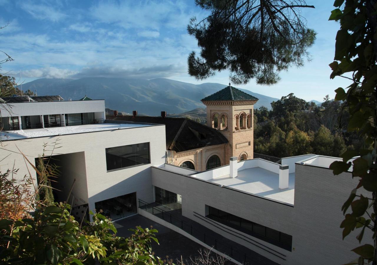 Suite with Terrace,799576425:JPEG