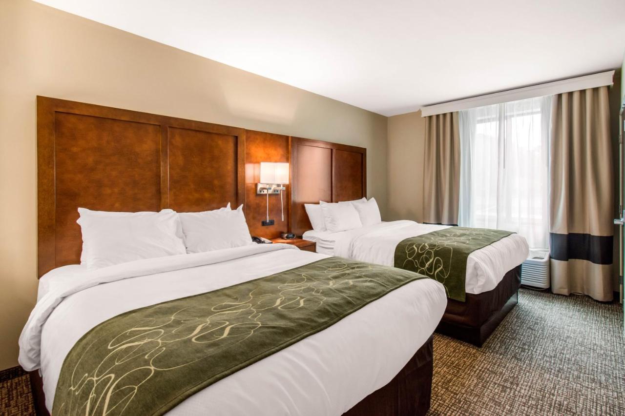 Suite Two Queen Beds Accessible or Non-Smoking,724452940:JPEG