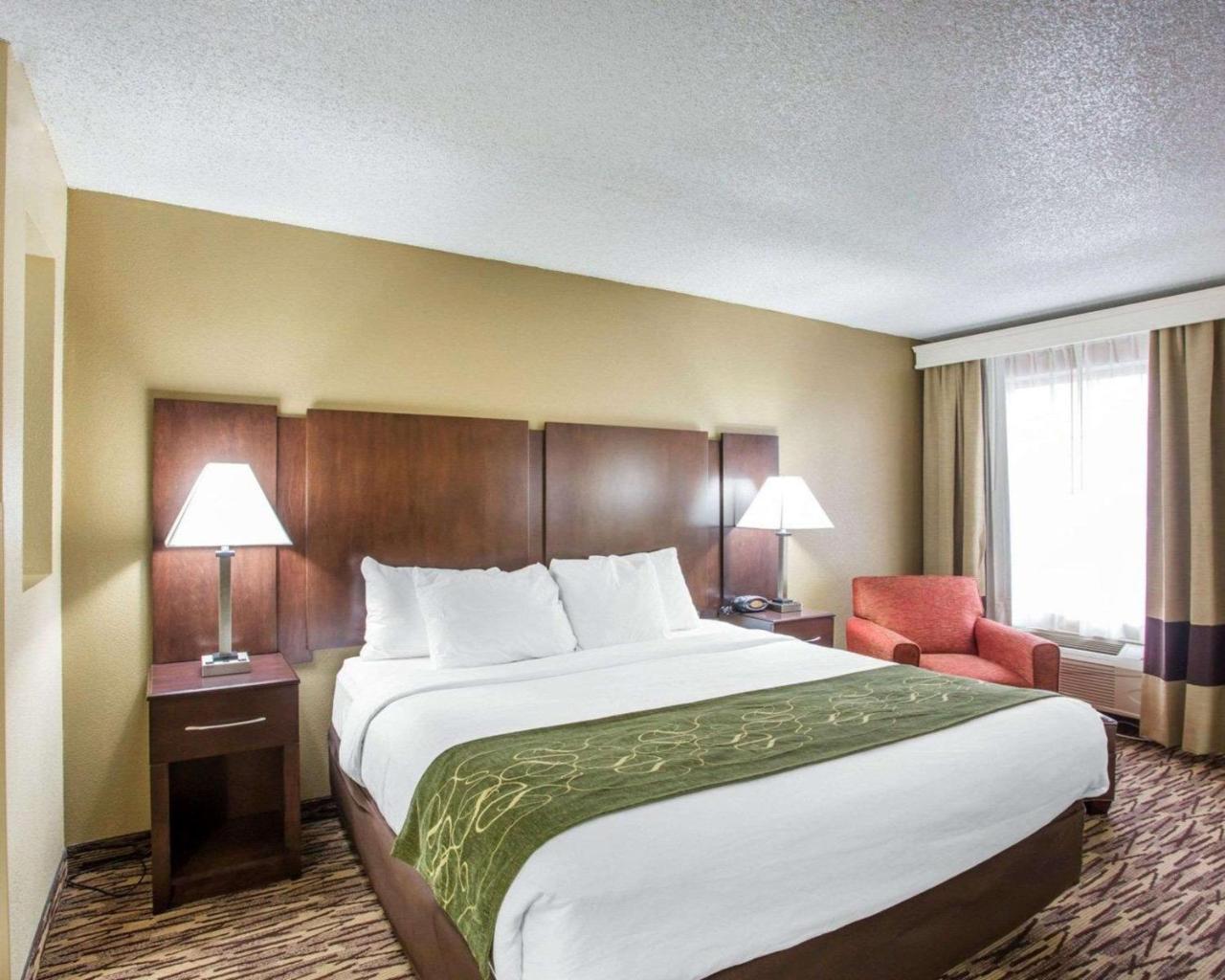 Standard King Room