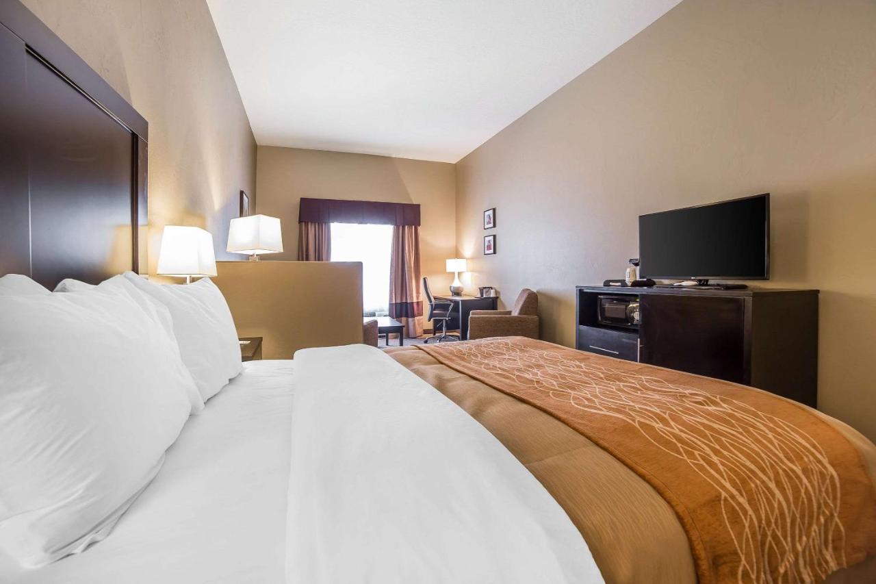 King Suite with Sofa Bed - Non-Smoking