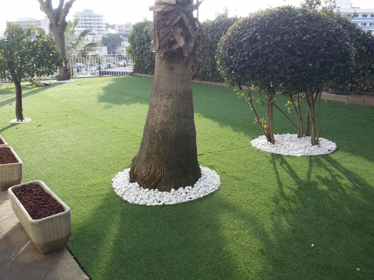 Habitación Triple con terraza