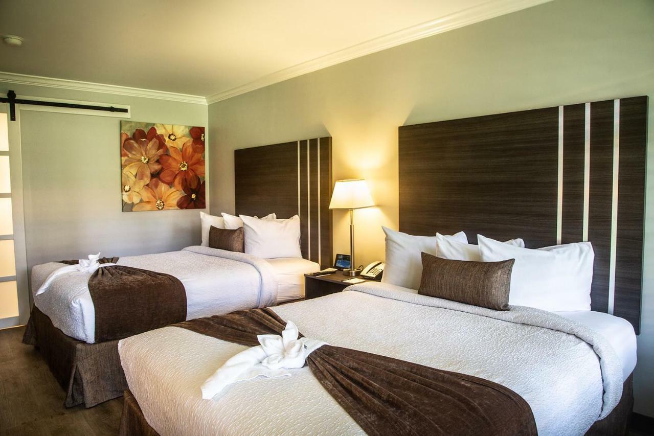 Standard Queen Room with Two Queen Beds