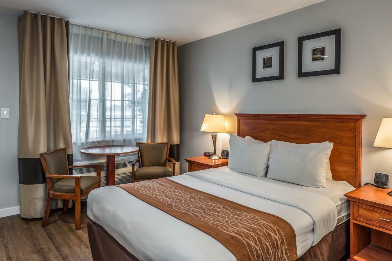 Habitación Estándar con 1 cama grande - No fumadores