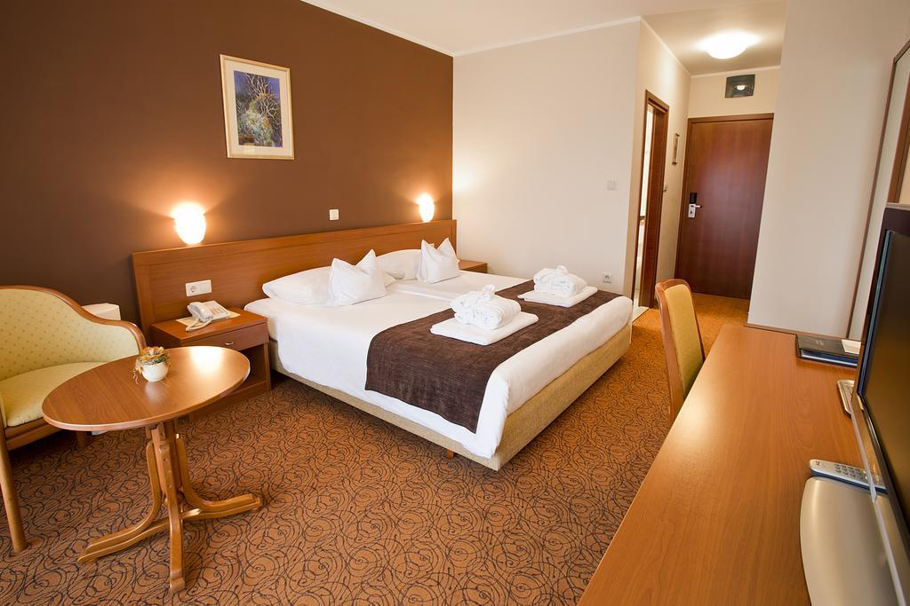 Standard Double Room,79635132:JPEG