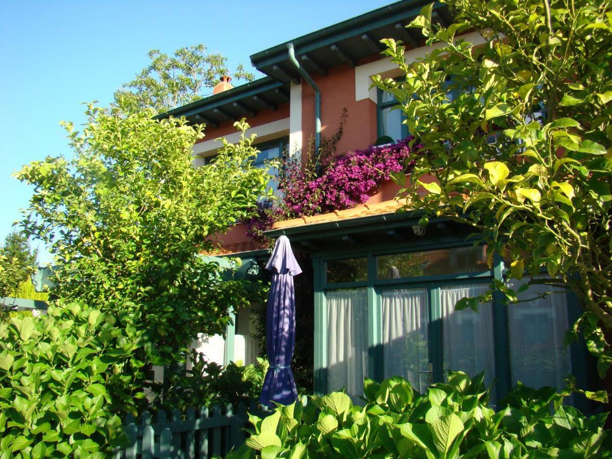 Estudio con terraza