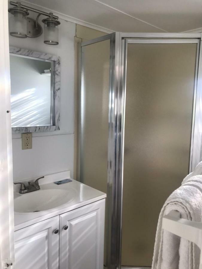 Economy Cabin