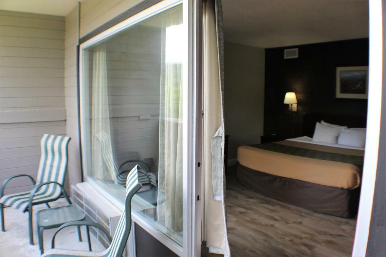 King Room with Mountain View,996005458:JPEG