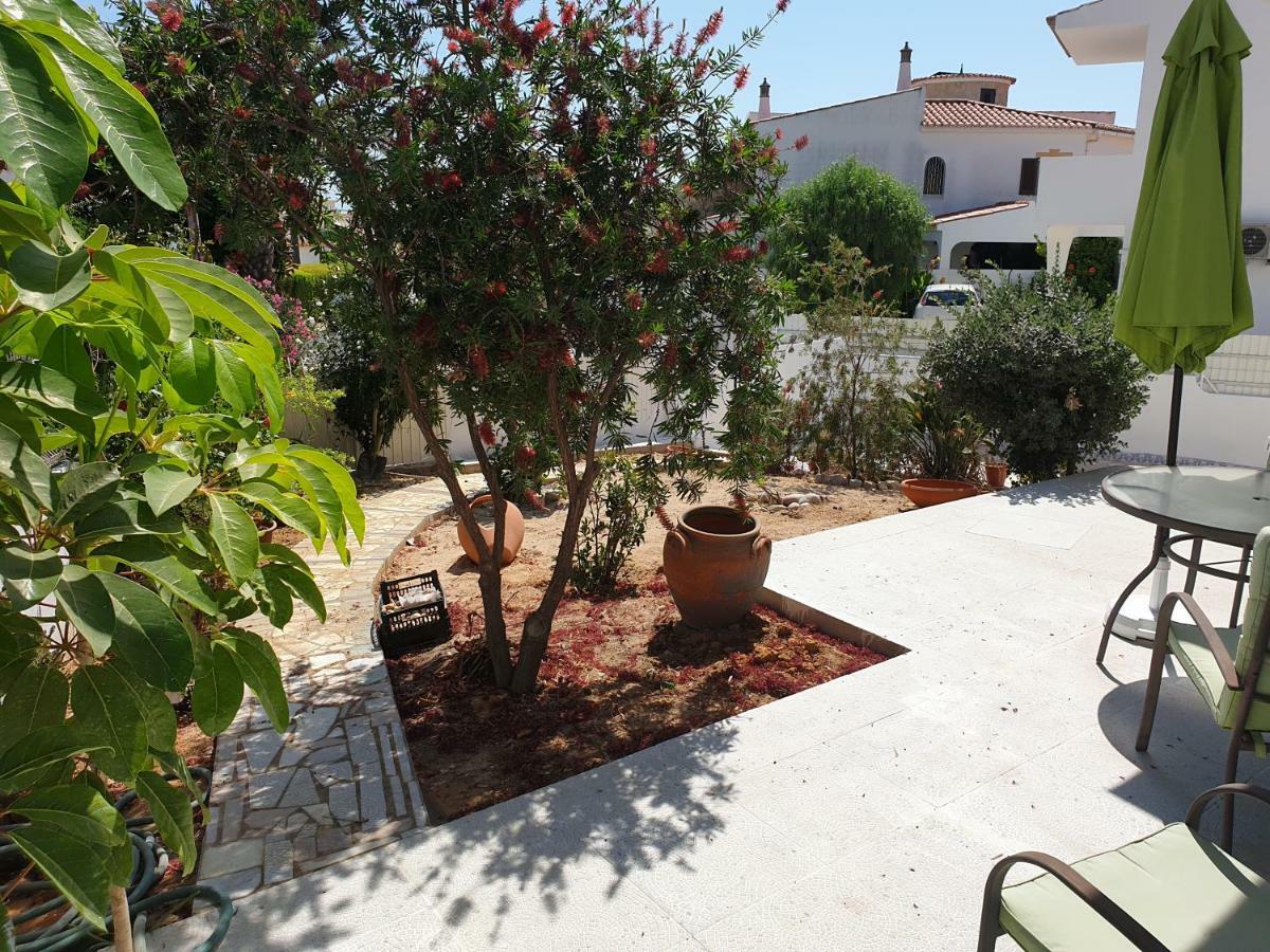 Apartamento com Vista Jardim