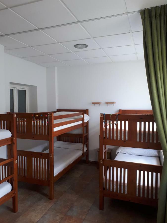 Bunk Bed in Mixed Dormitory Room,854243849:JPEG