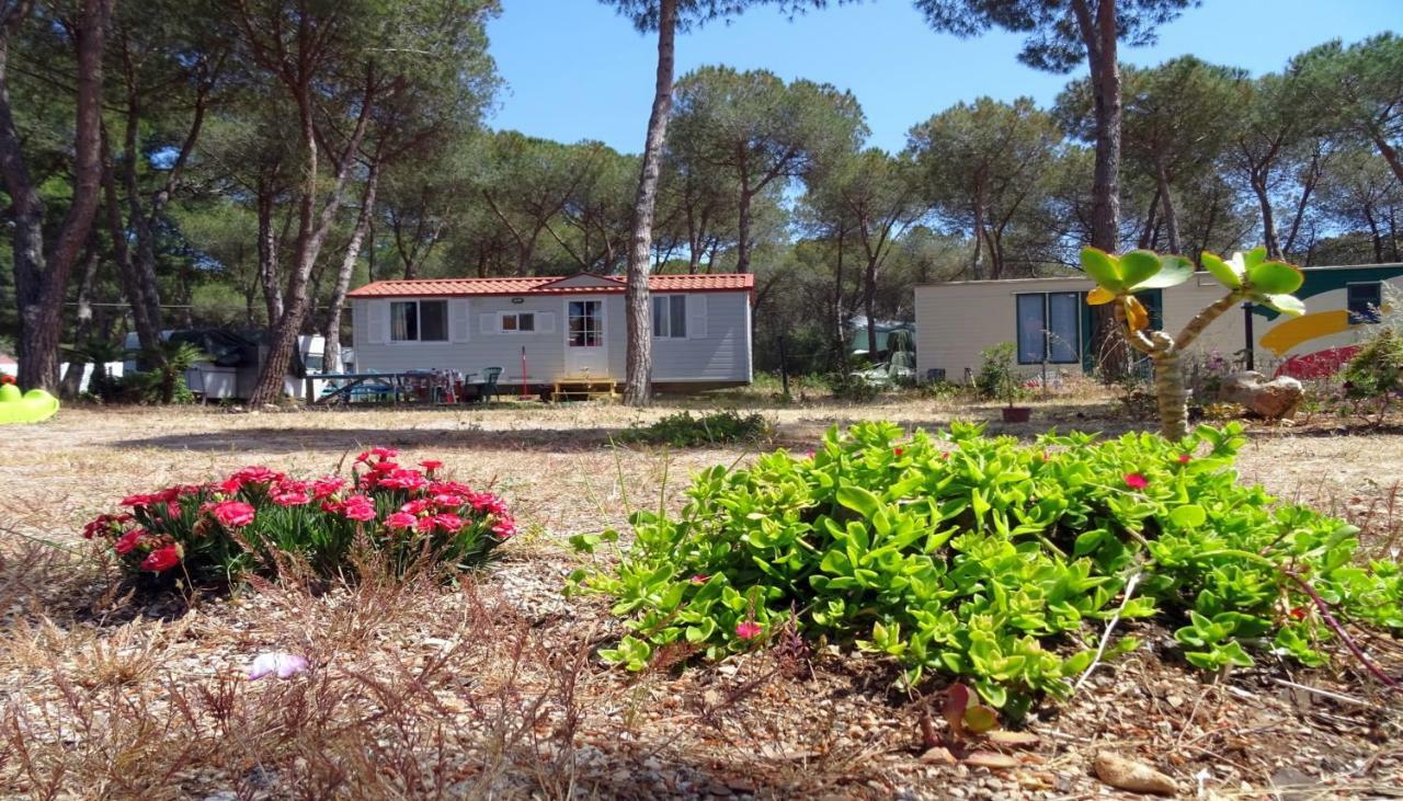 Casa Mobile con 2 Camere da Letto