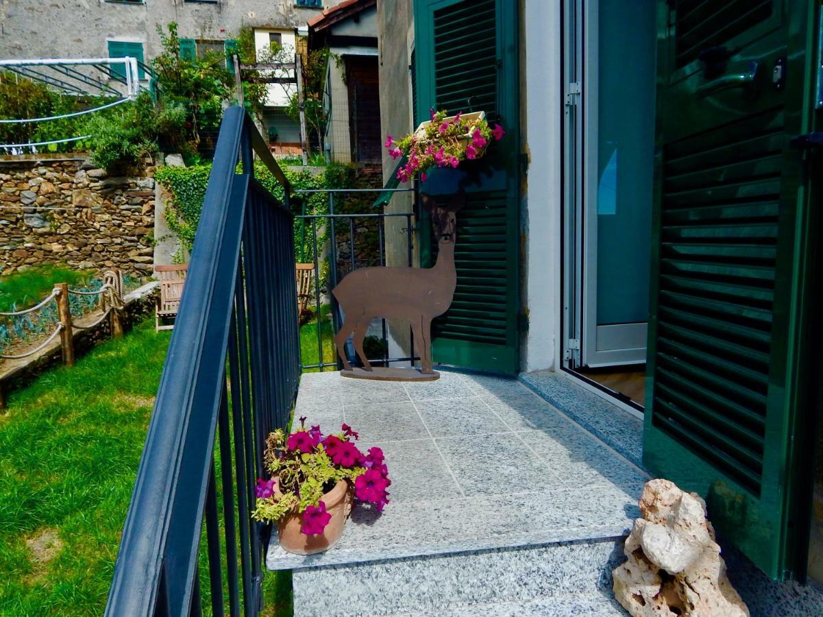 Junior Suite mit Terrasse