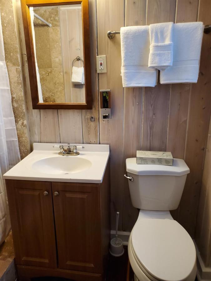 One-Bedroom Apartment with Garden View #2