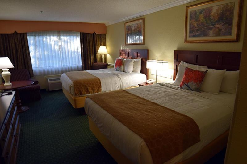 Double Room with Two Double Beds - Non-Smoking