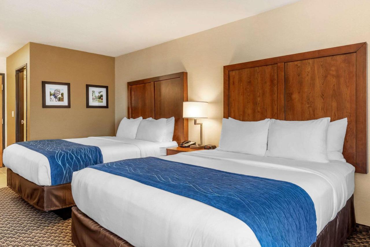 Queen Room with Two Queen Beds - Non-Smoking