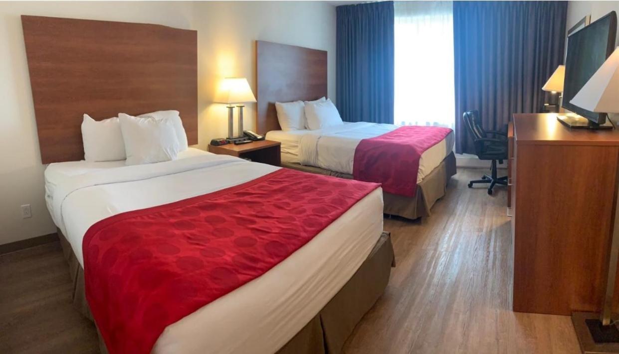 Queen Room with Two Queen Beds - Non-Smoking,992331361:JPEG