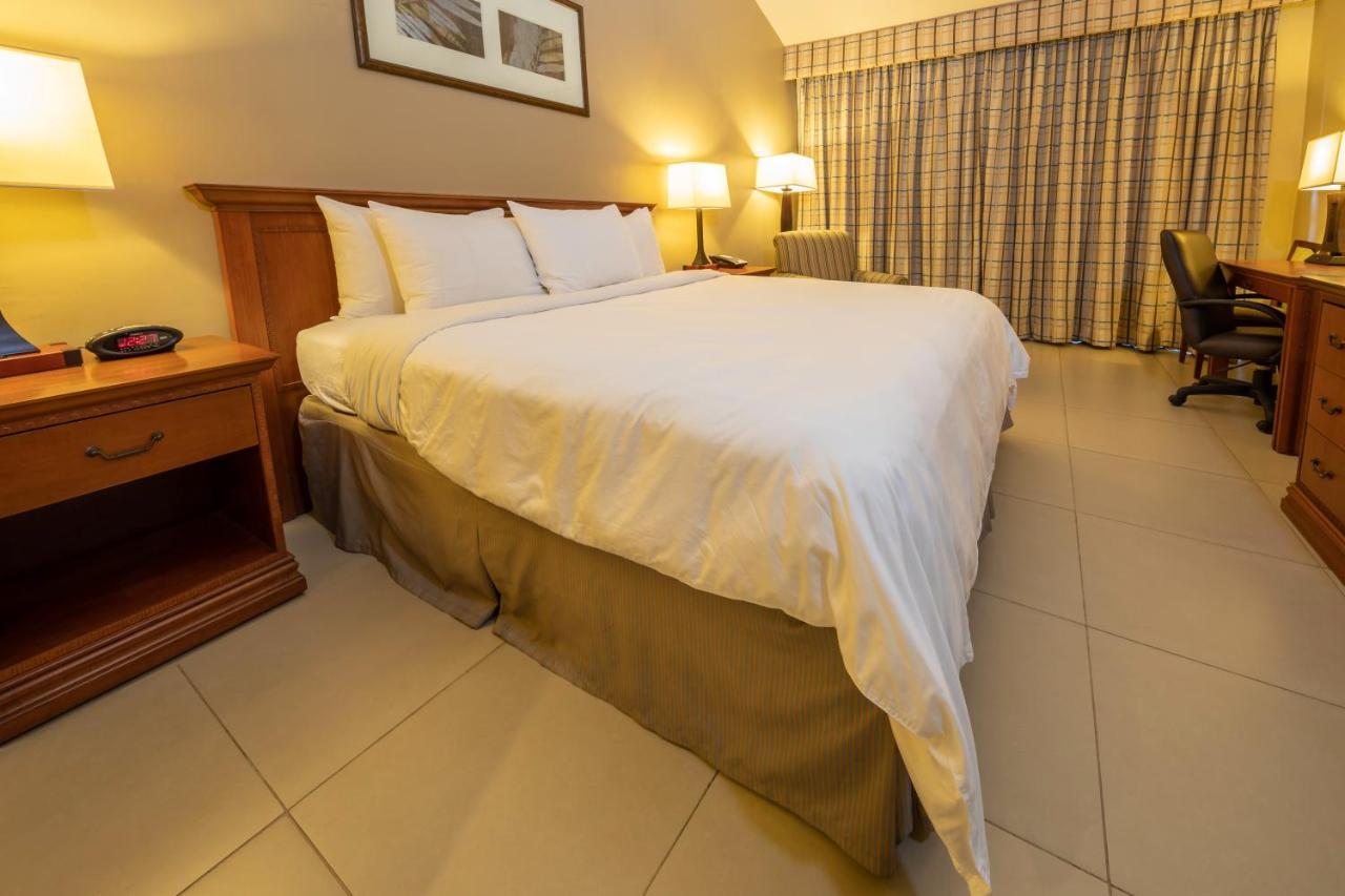 Suite King con Divano-Letto - Non Fumatori