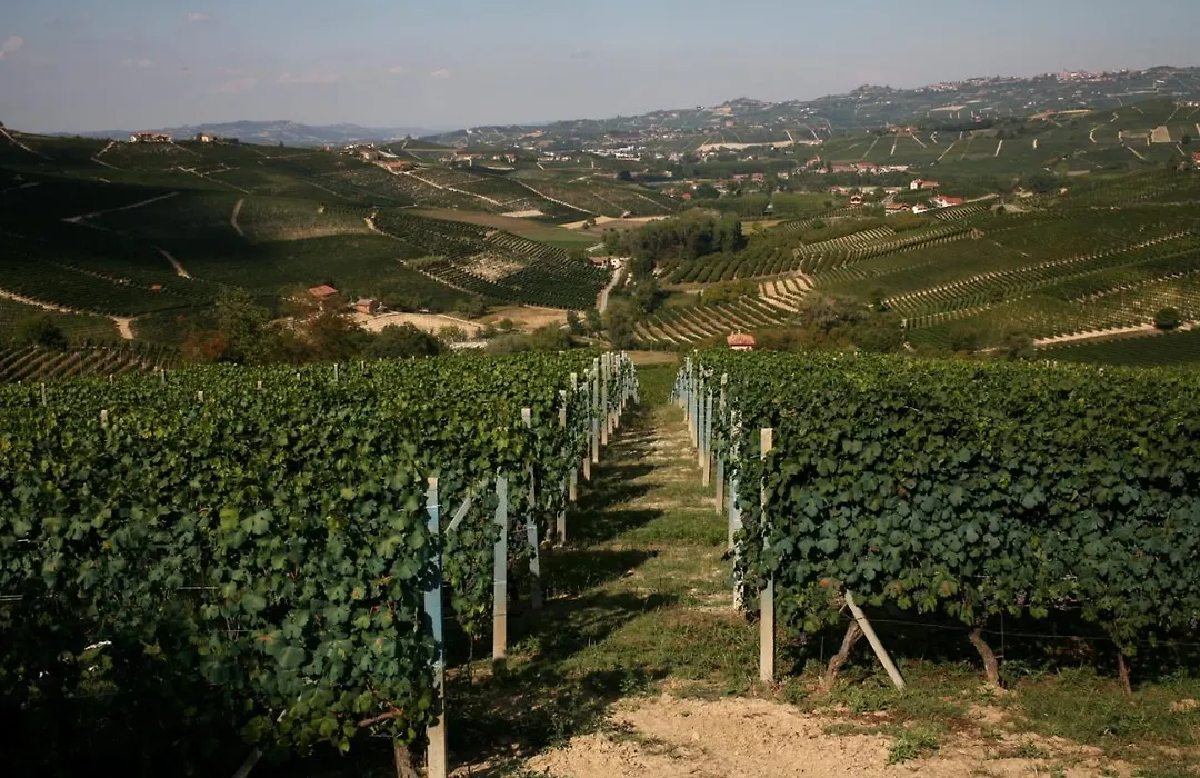 Hotel Barolo Classico-1