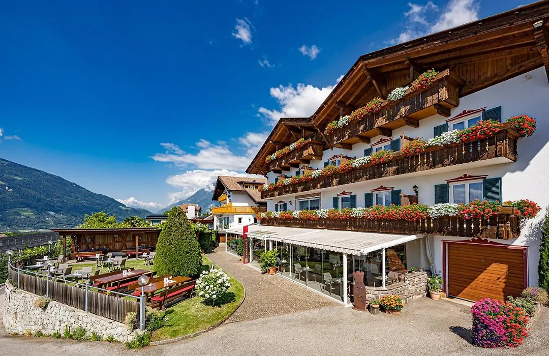 Hotel Stefanie-1