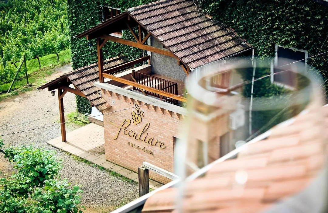 Vinicola e Pousada Peculiare-1