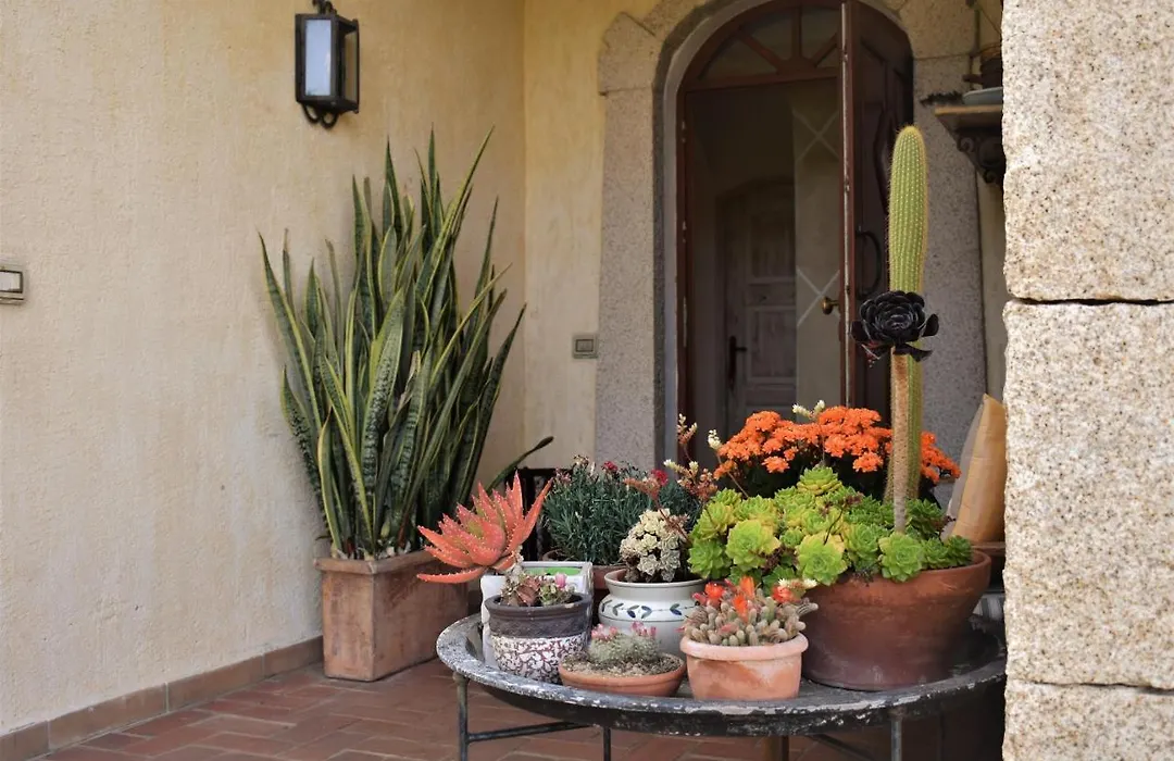 B&B La Murichessa-1