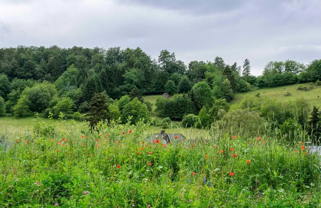 The Conscious Farmer Bed&Breakfast Sauerland-1