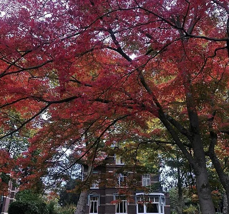 B&B Villa Anna, Venlo-1