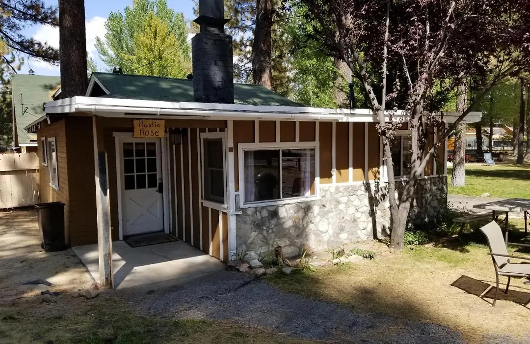 Grey Squirrel Resort-1