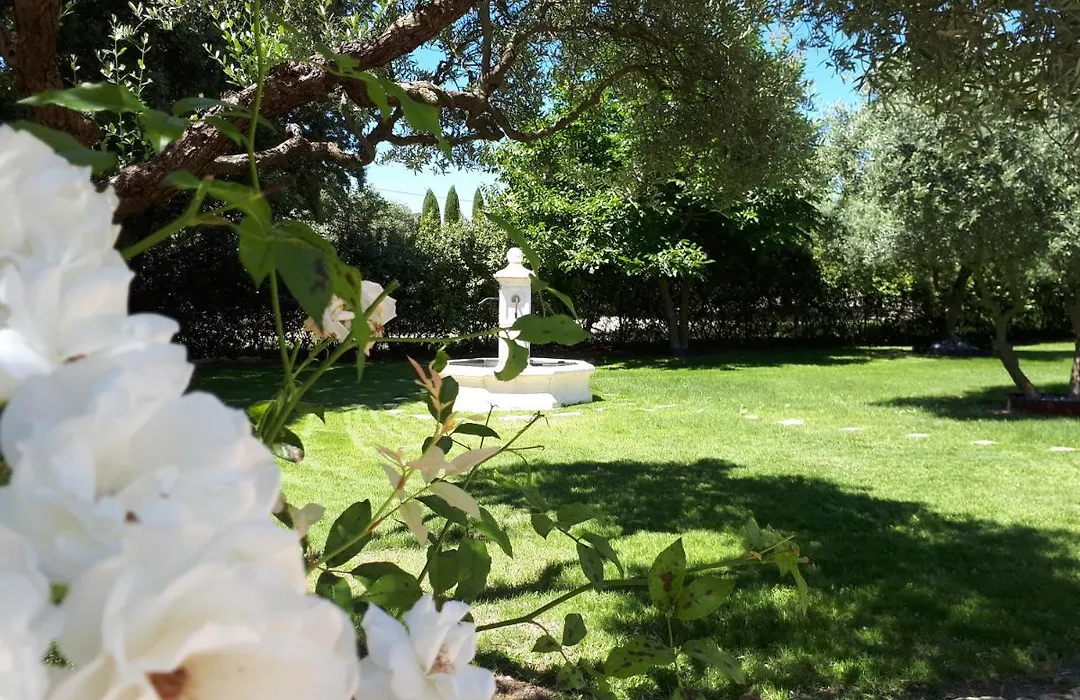 la réveuse-1