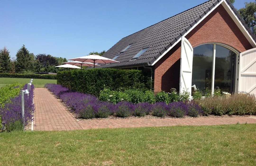 B&B De Veluwe Hoeve-1