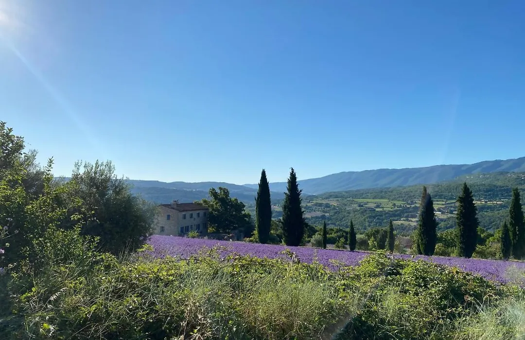 Maison d'hôtes Une hirondelle en Provence-1