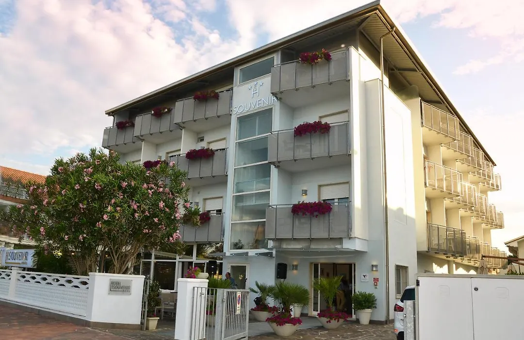 Hotel Souvenir - Koolibry Hotels-1