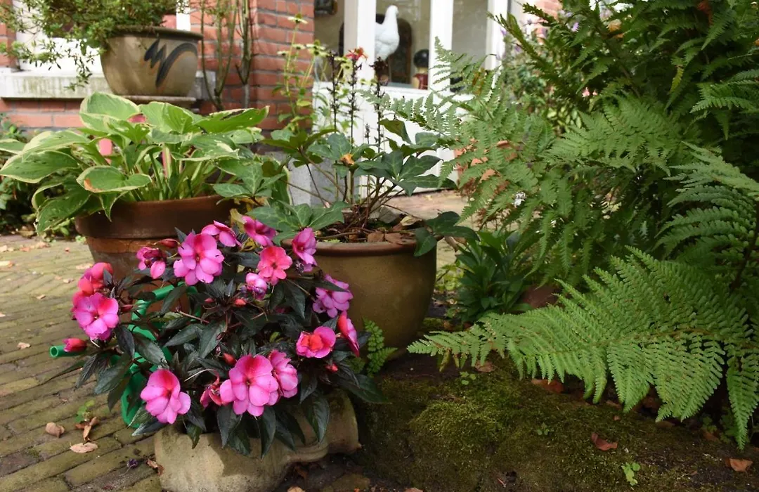 Bed&Breakfast Leonie-1