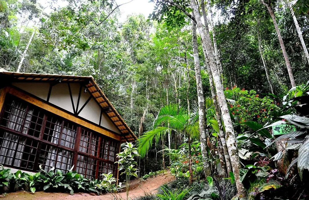 Sitio Recanto Primata-1