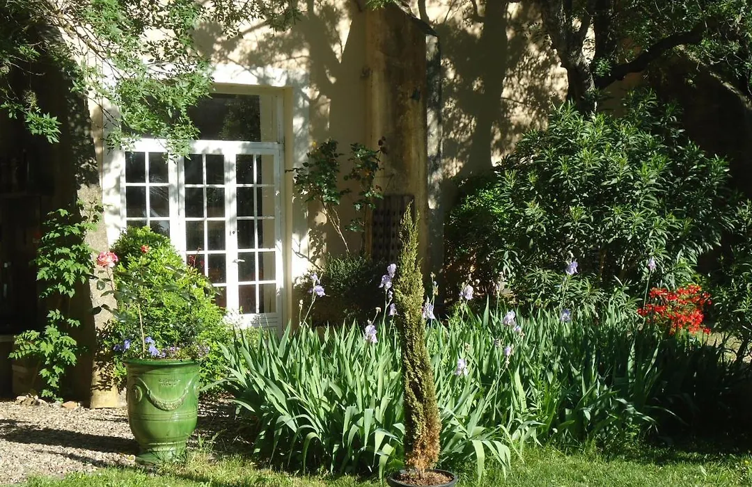 Au Bord De Thau-1