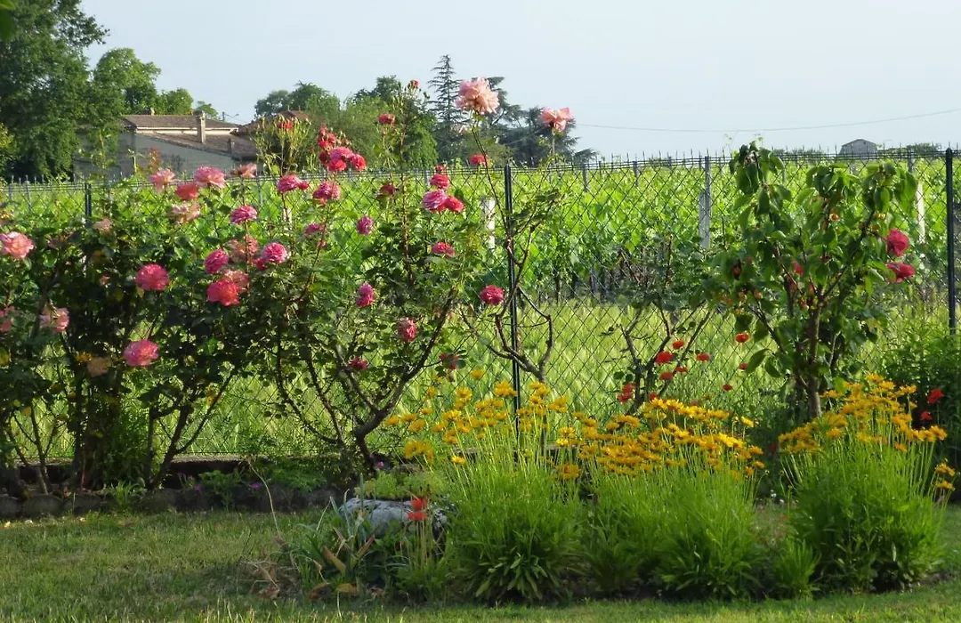 Le Clos des Rosiers-1