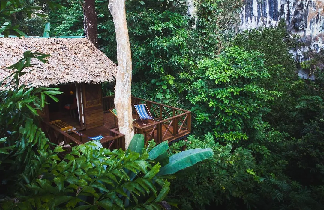Our Jungle House-1