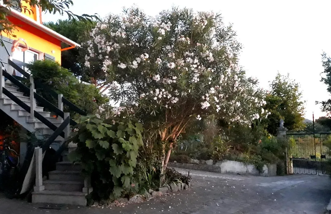 Casa Gwendoline - Albergue / Hostel / Al - Caminho Da Costa-1