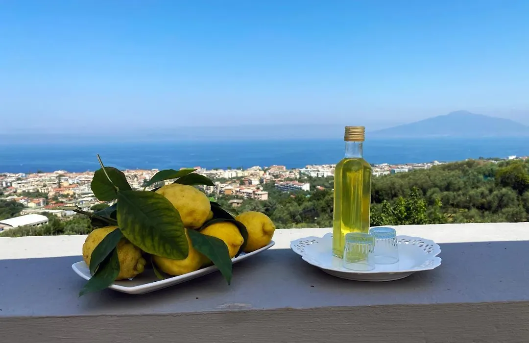 Mariahome Sorrento-1