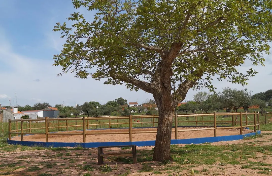 Tapada Do Chafariz-1