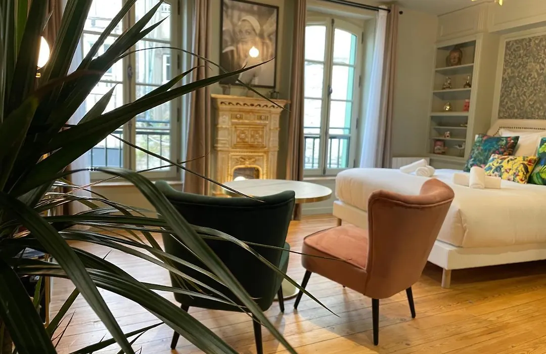 Studio Centre-Ville Viviane-1