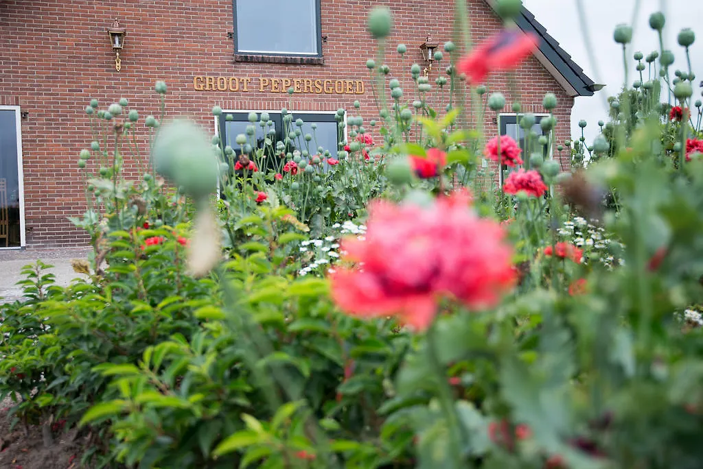 B&B Groot Pepersgoed-1