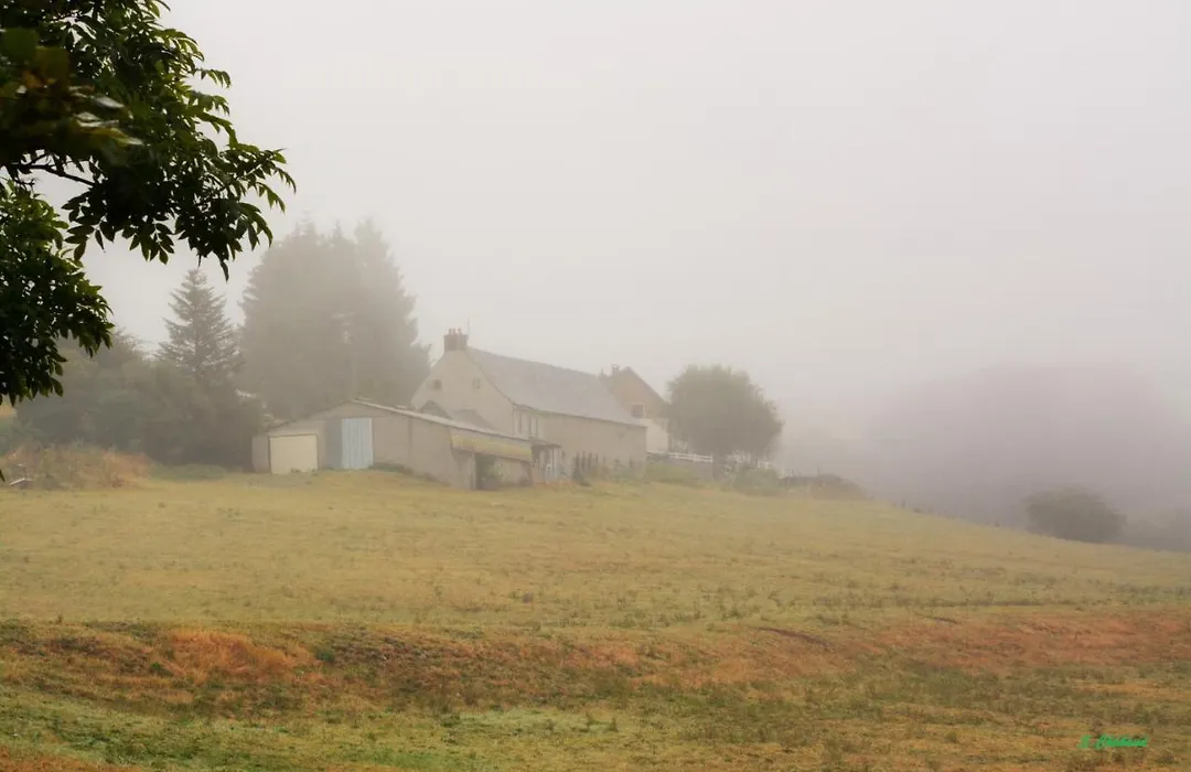 Horizon Aubrac Laguiole-1
