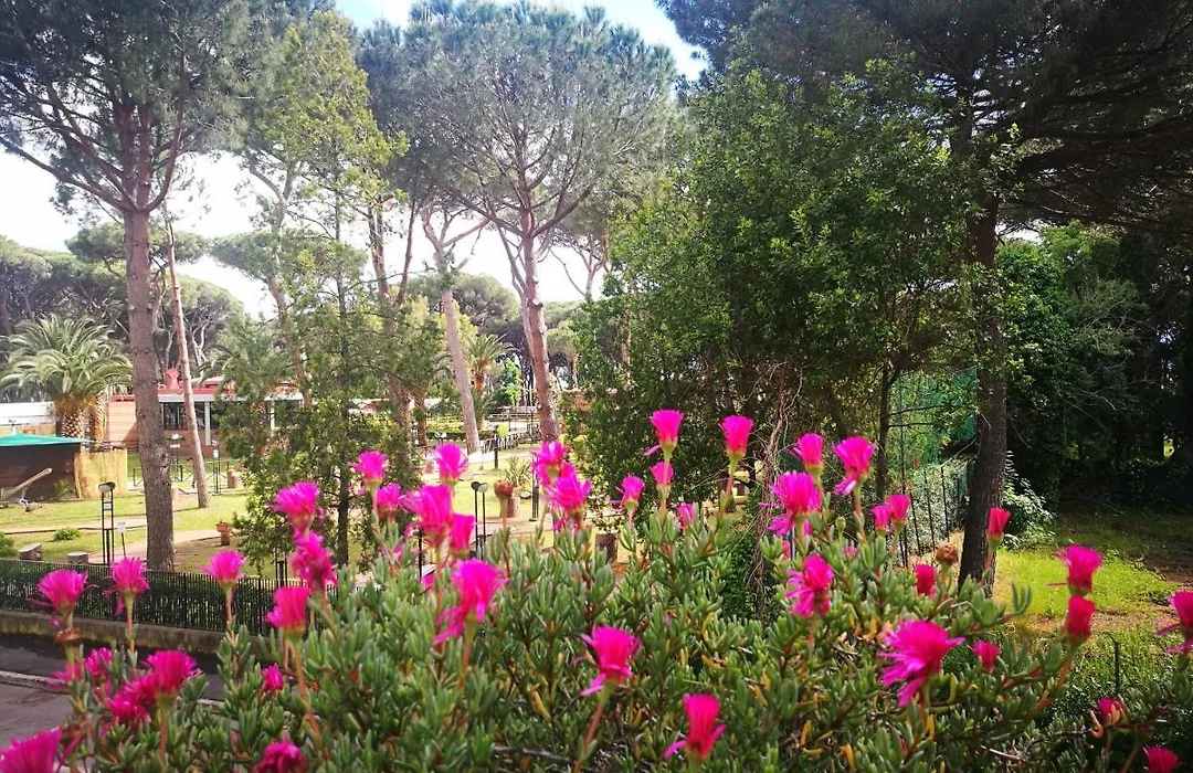 Casa Margherita Affittacamere B&B-1