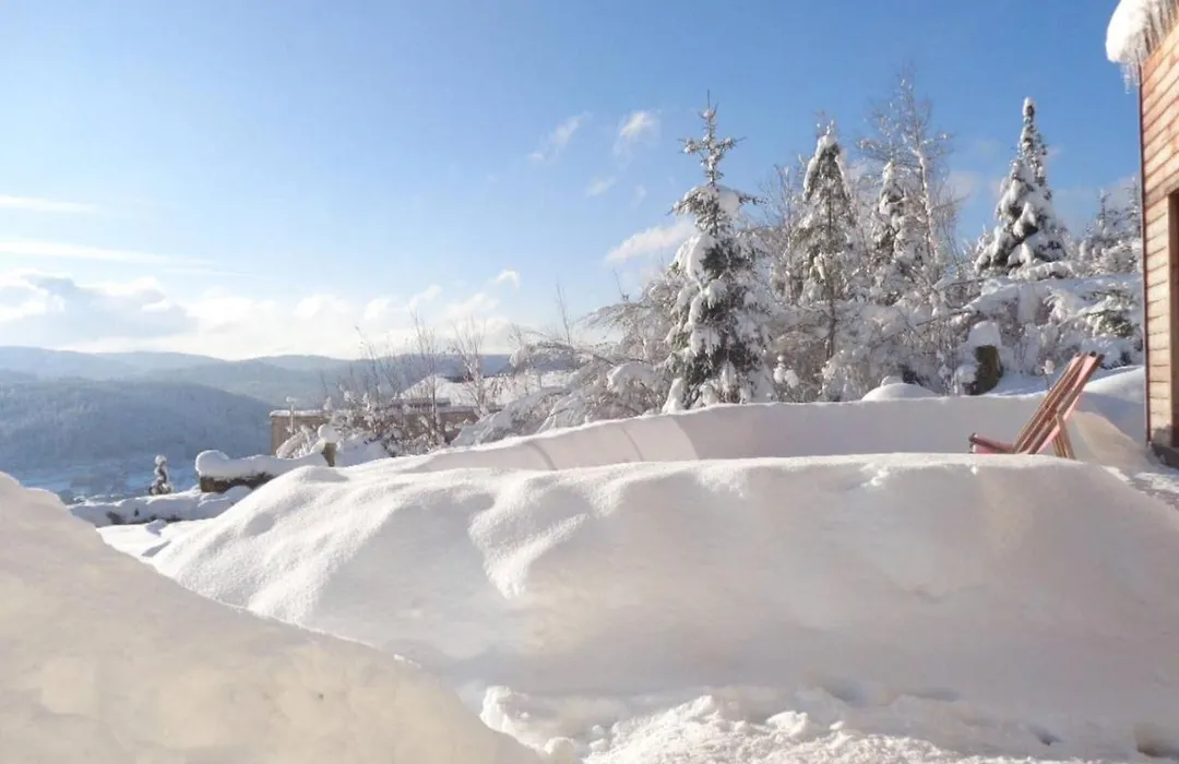 Laptitevosgienne Vue Lac A Gerardmer !-1